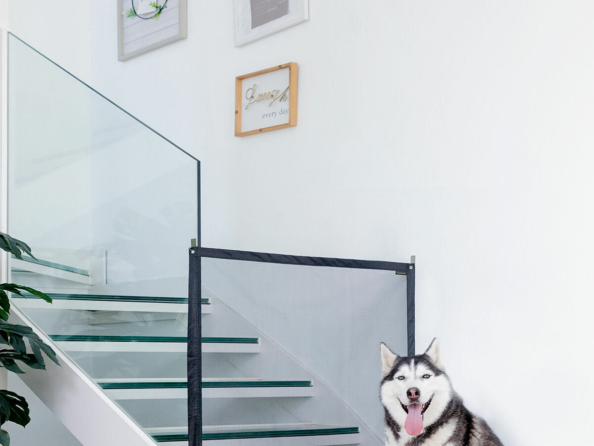 V11H98804F07A4BE77B710F02412FF3C12A4R5262074P1