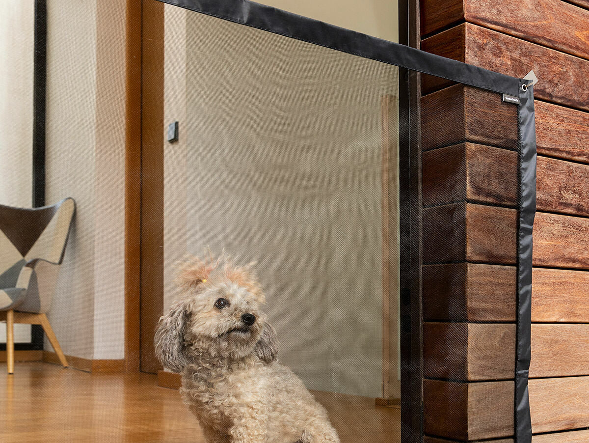 V11H796BFD6B3A40B6812AA2B971DF27779BR5262082P2