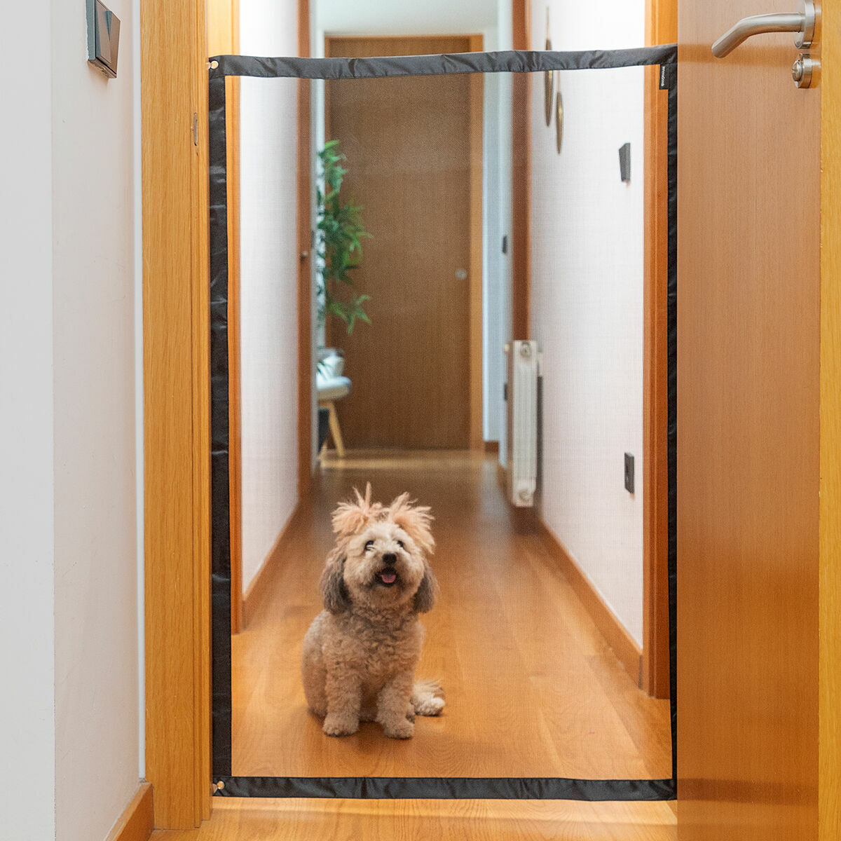 V9H768D201FF251721D4AE34C7588E09029R5262101P6