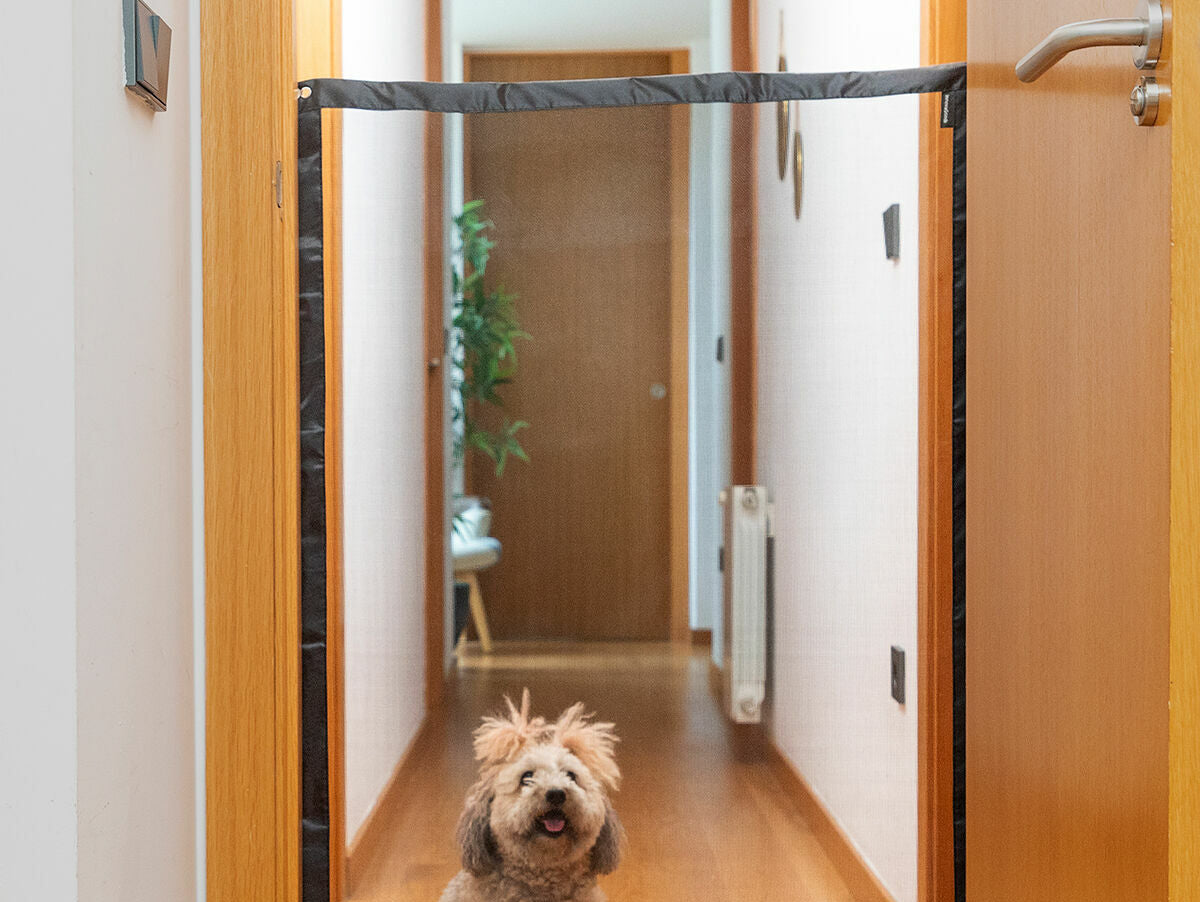 V11H768D201FF251721D4AE34C7588E09029R5262101P6