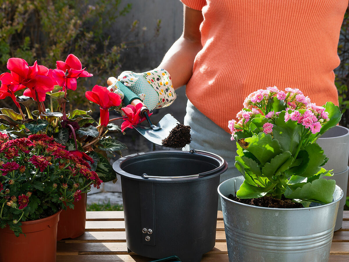 V10HC0A3675F1E749D3D37ABB7FAABBDBCBBR5279562P2