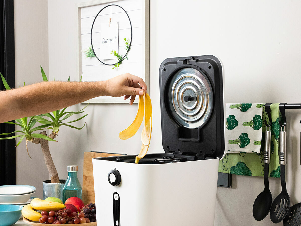 V10H261753E97729393B186F8484E4D87B88R5279577P6