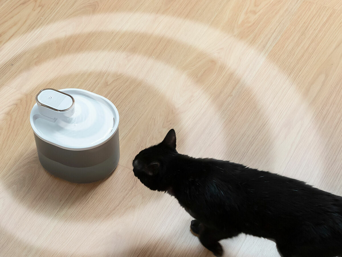 V10H6BB5DB5ABD098E7D23DC2D11F393C810R5279737P3