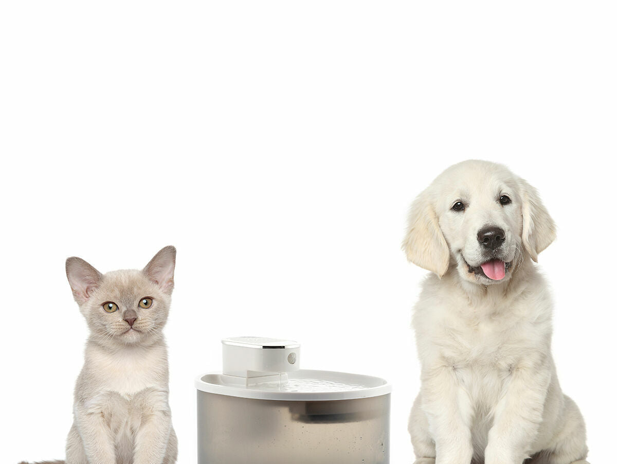 V10H6759E4B1C13EF56393BADDAFFD9B105DR5279753P10