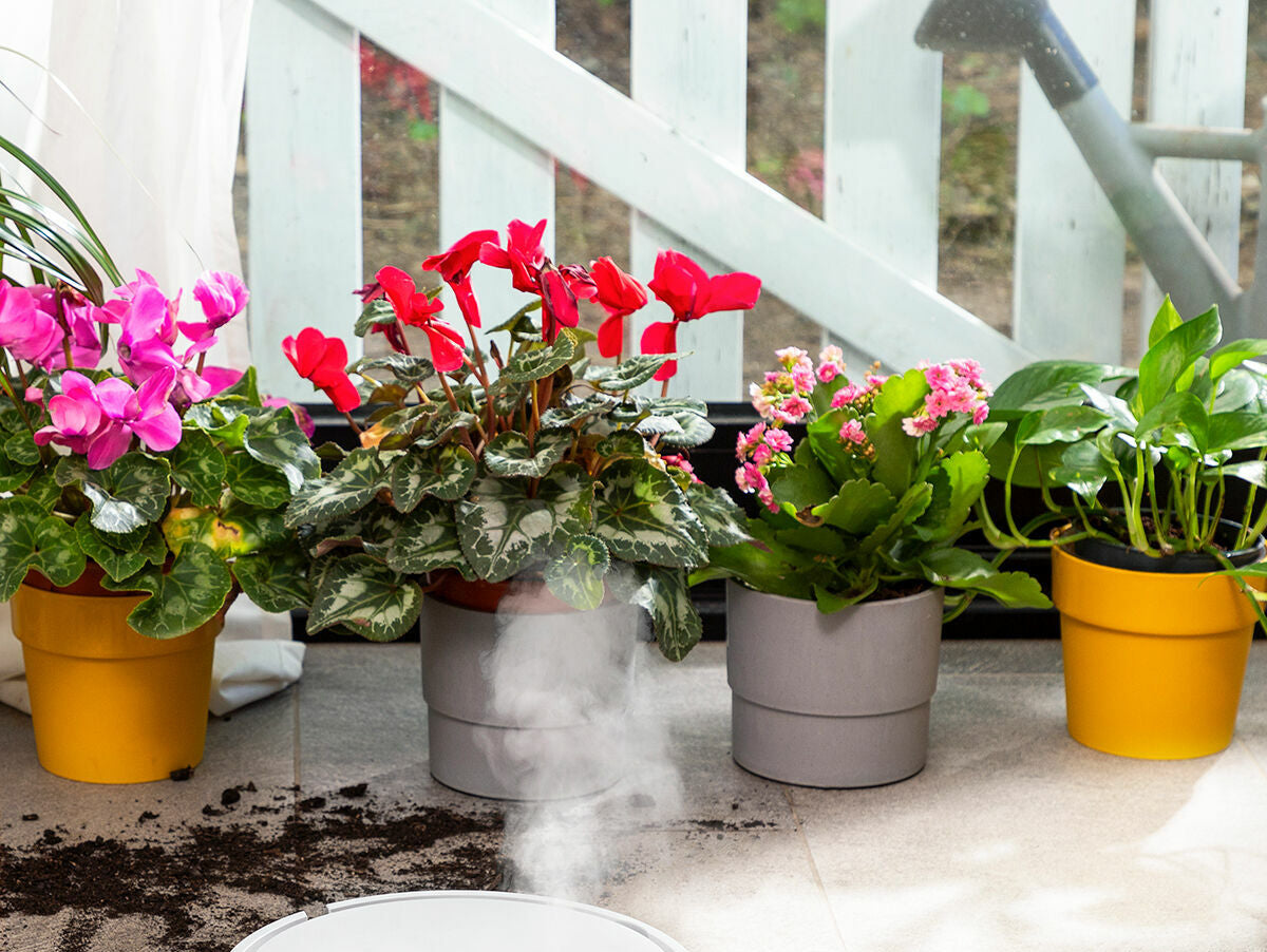 V9HDBABC7A60274934BEE5E2D6D444A8EE3R5252599P8