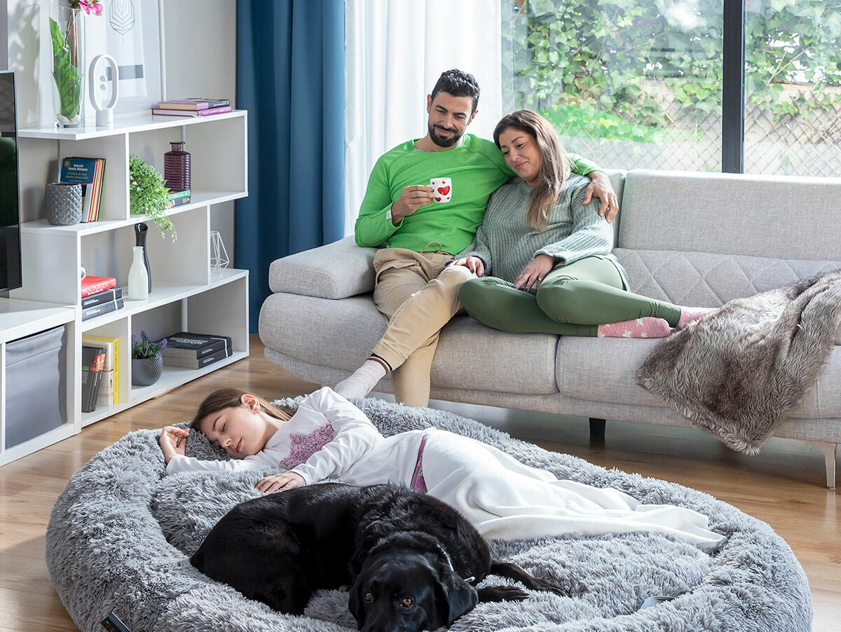 V10HFE299E6BCD98711963EB7F80C06E44B7R5434982P1