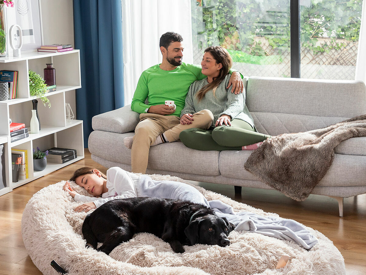 V9H504A3B68D8C129D3BC22B17B9417D976R5434753P1