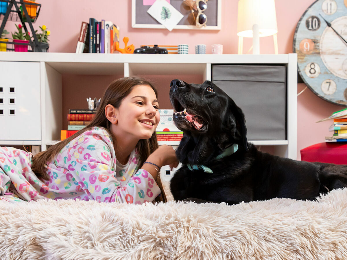 V9HFAF2C26B09E5ED8F8D23947CAA098D19R5434767P5