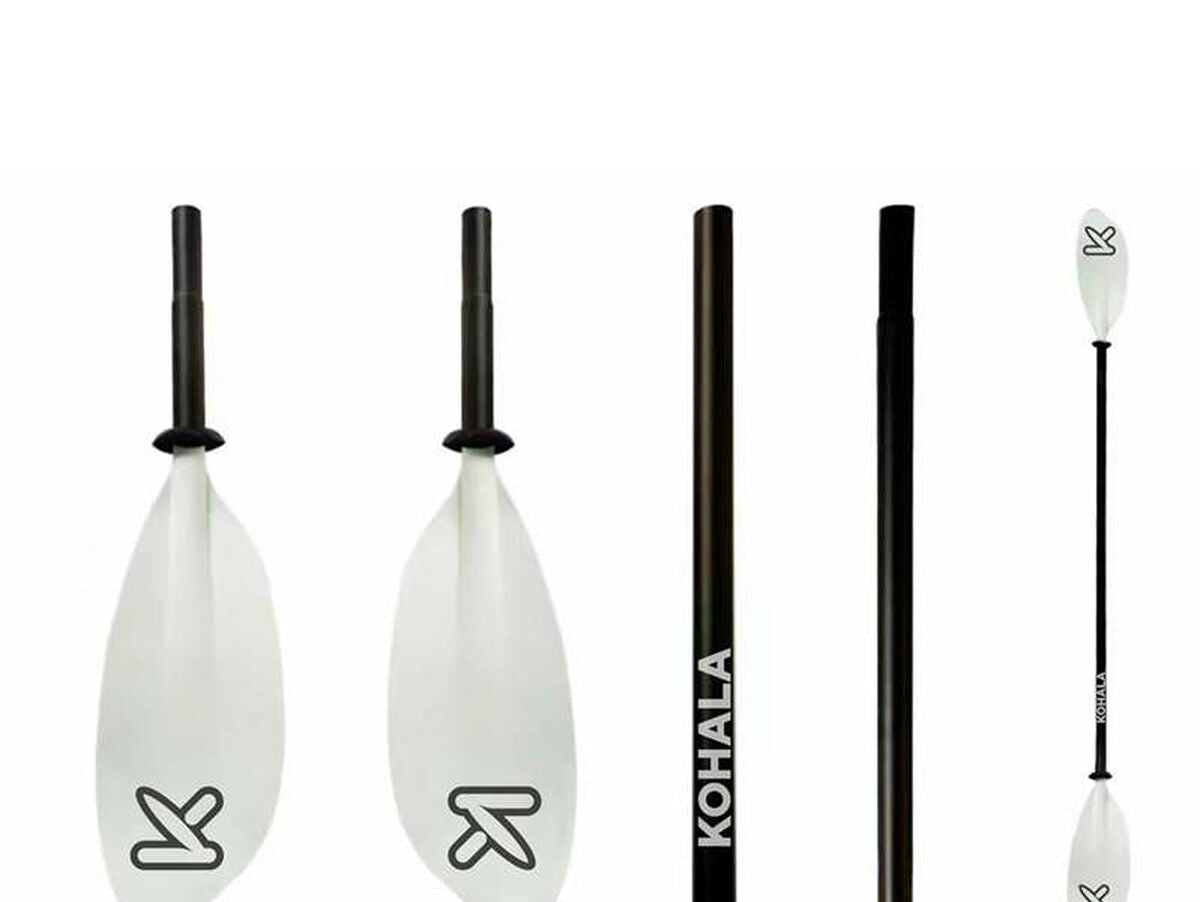 V6HB50C192F24E2AA989F305E2AA061D282R4420497P2