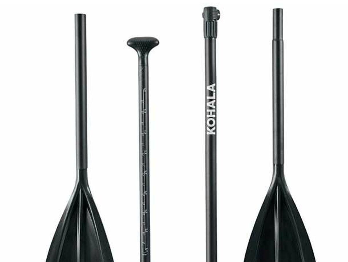 V6H7A2EC97F20CBB4F88196406B0D5FCE26R4420487P1