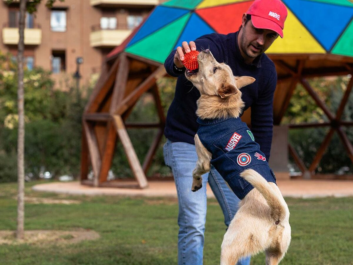 V4H827957E83844712C04F01C44A4AED174R5076161P3