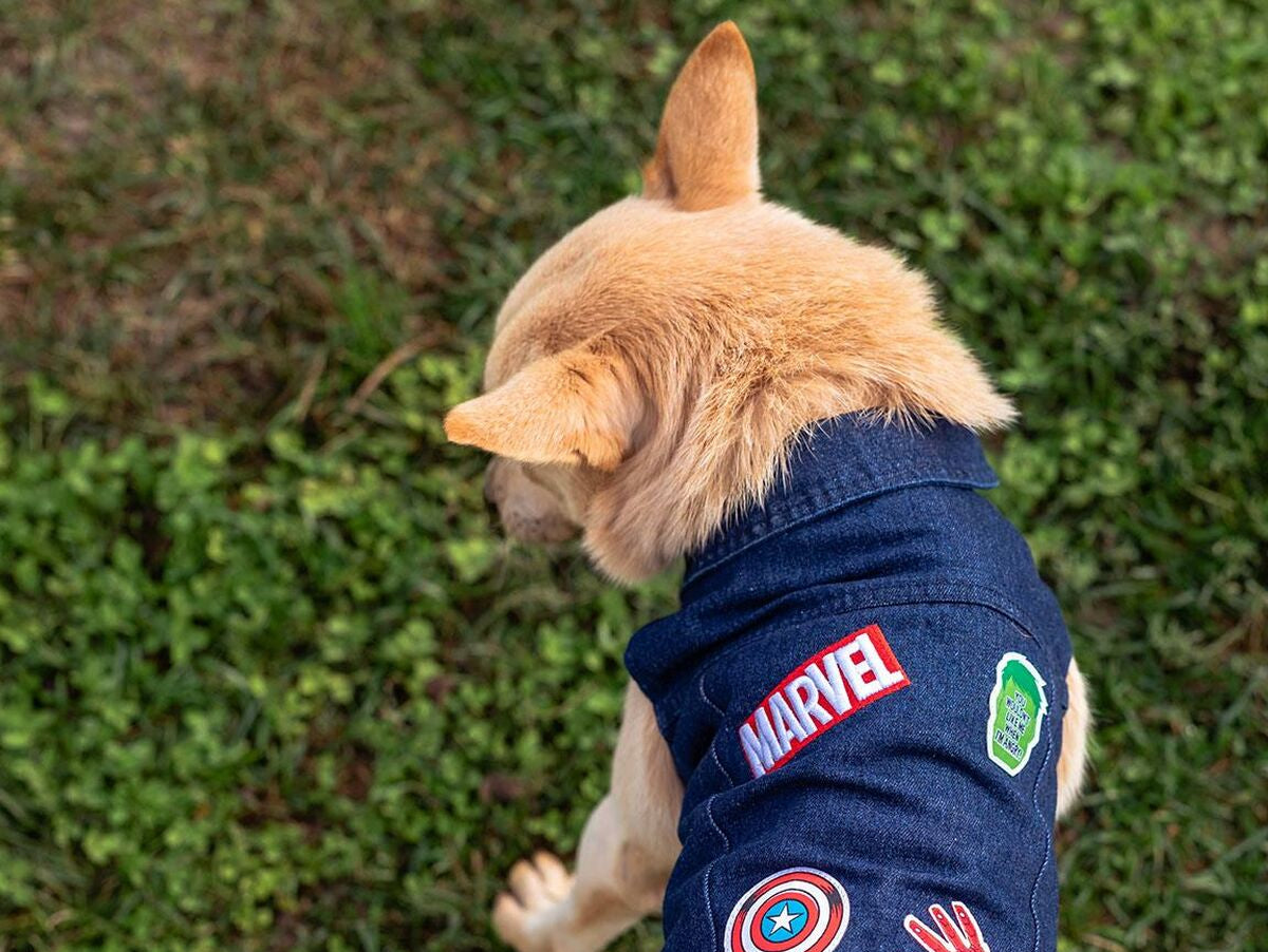 V4H19A9283C0B31AD46DFE4AA2200C169C0R5076164P6