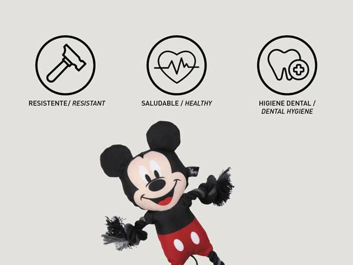 V6HC93C9CA624DD71831A06957026714653R6791845P4