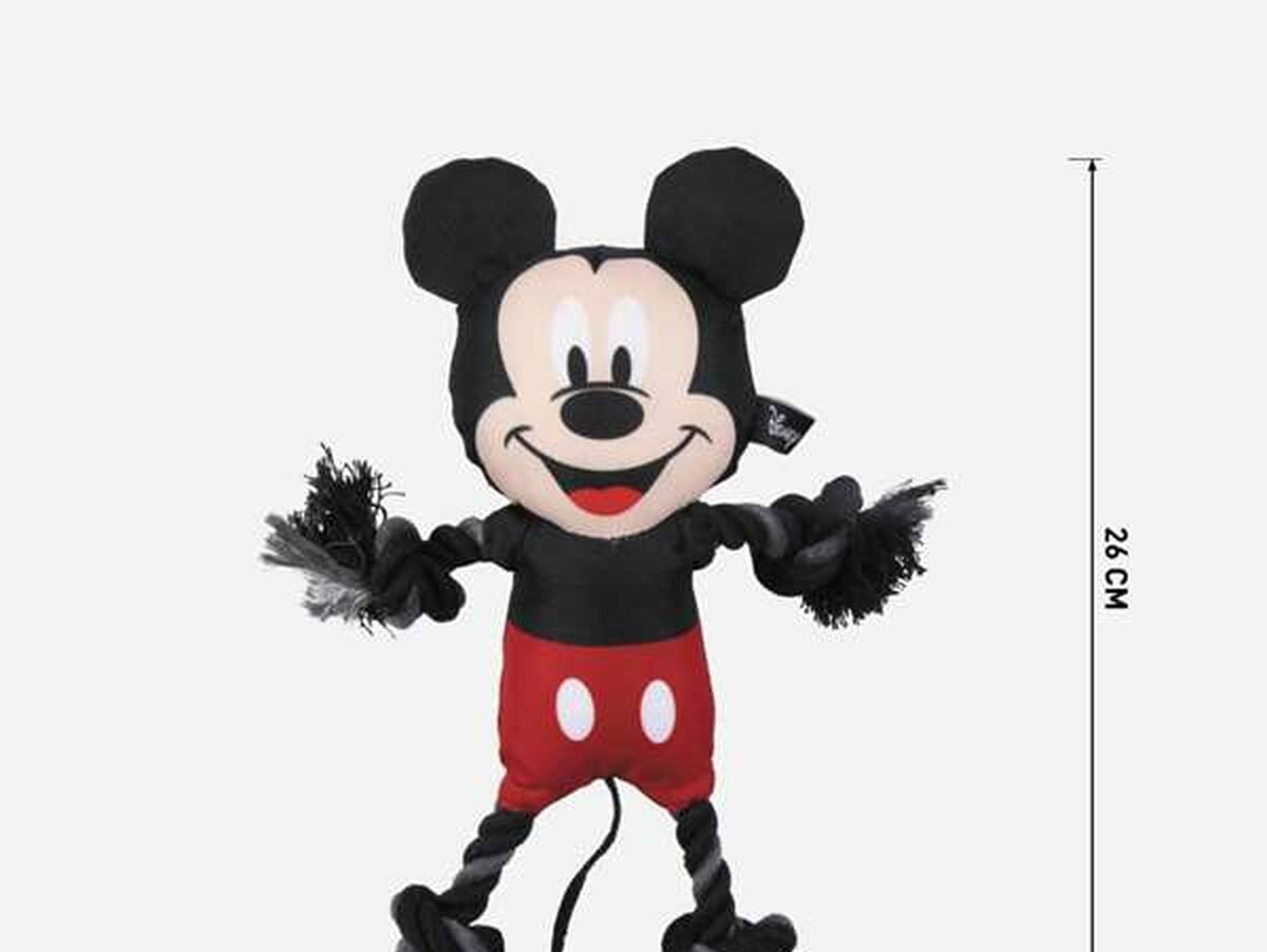 V6HAC060A16D2828DE9BA2E5CD55CBB1785R6791848P5