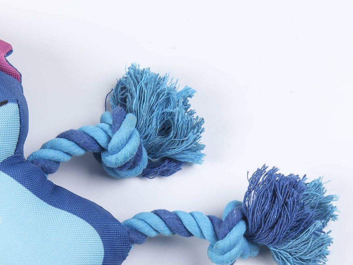 V5HFE970217885B2FC51A15BBF4B454875ER6715276P4