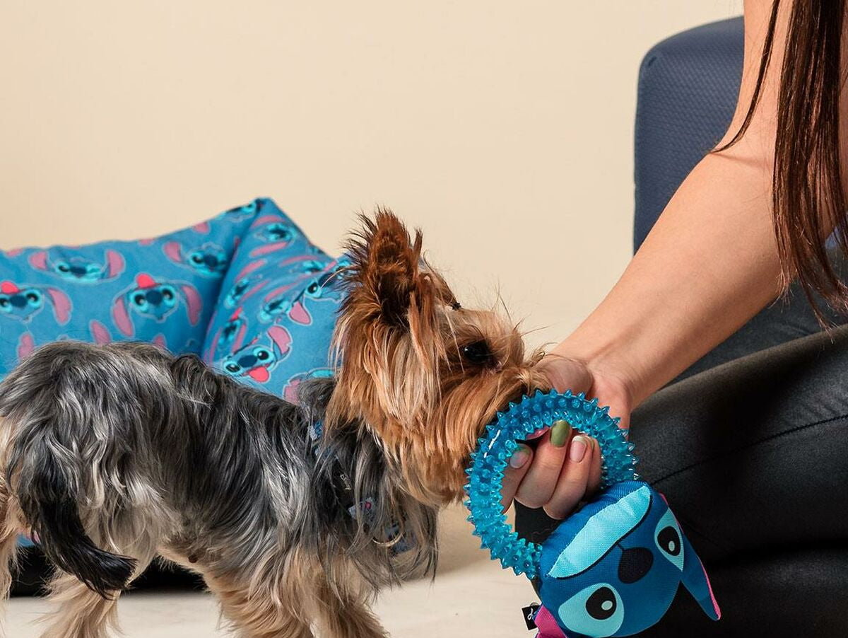 V4H5139DF5EF2F36D95D32D220708D80ED1R6721667P2