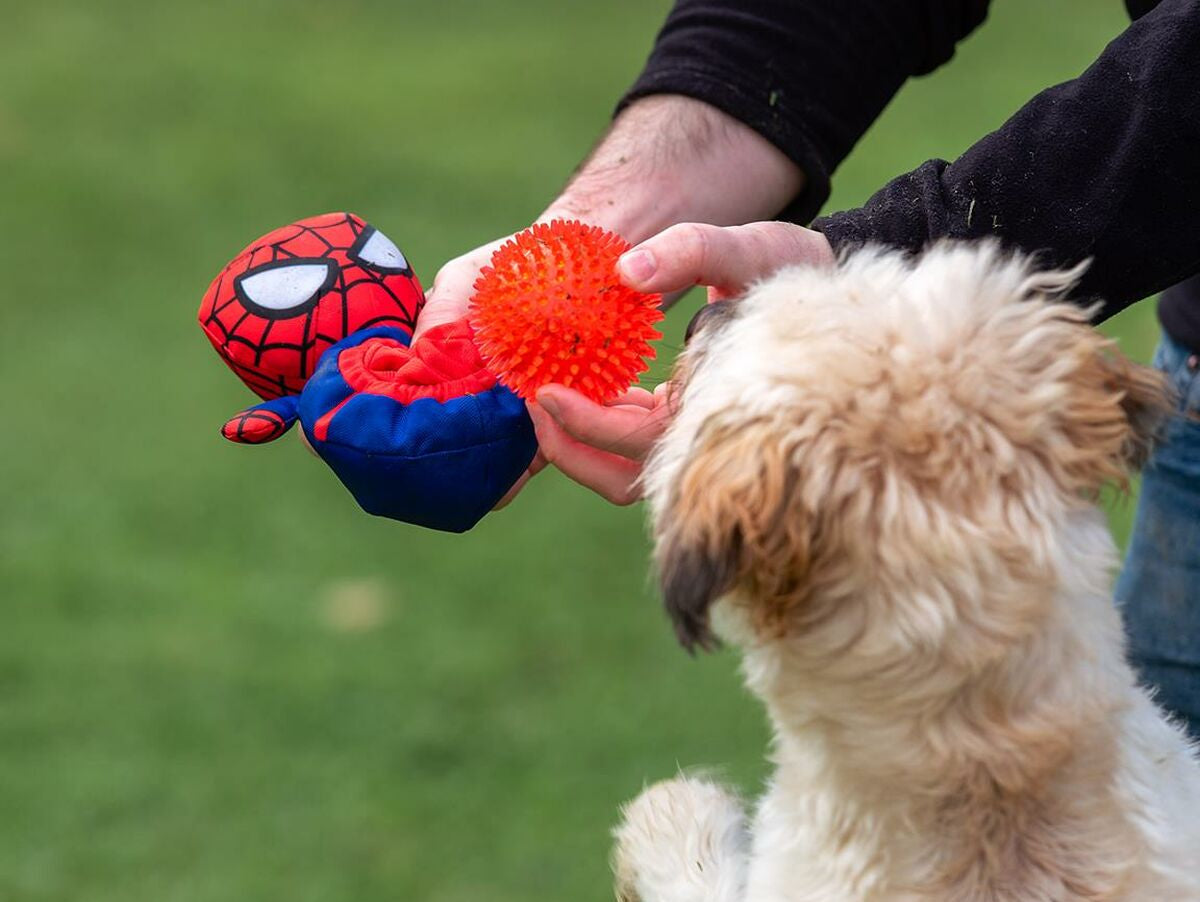 V5H7C7D8F7931DAD441A00944ED7217B341R5308631P4