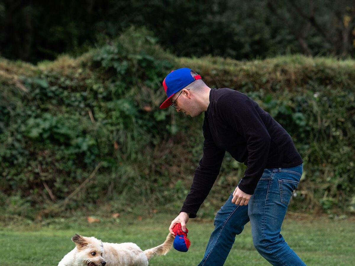 V5H7665D84073F2A31E94DE222BD965DD86R5308632P5