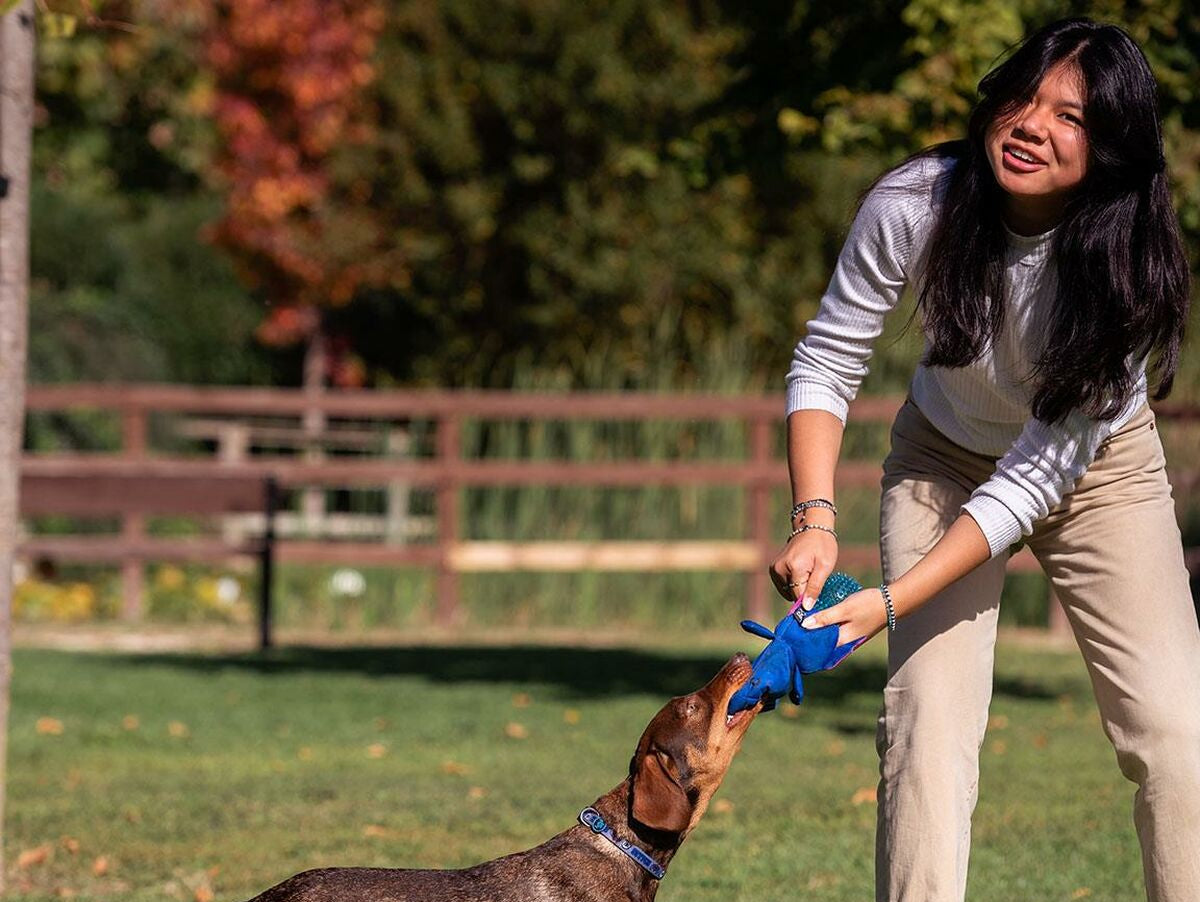 V6H63EEAE09D3B898524F24C87B918B1230R4107744P5