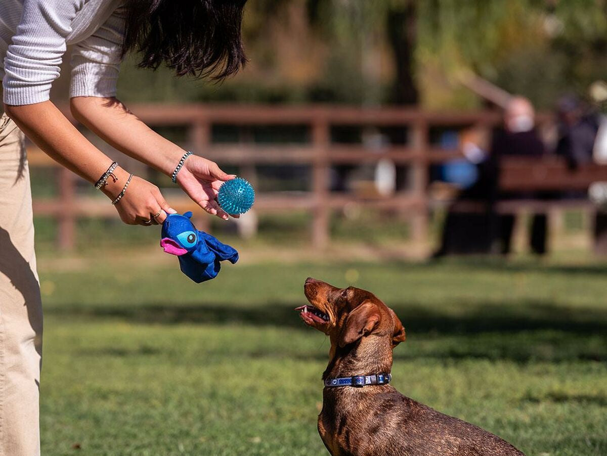 V4H7284B04090D9F6B16BB7135D8863FF77R5308649P7