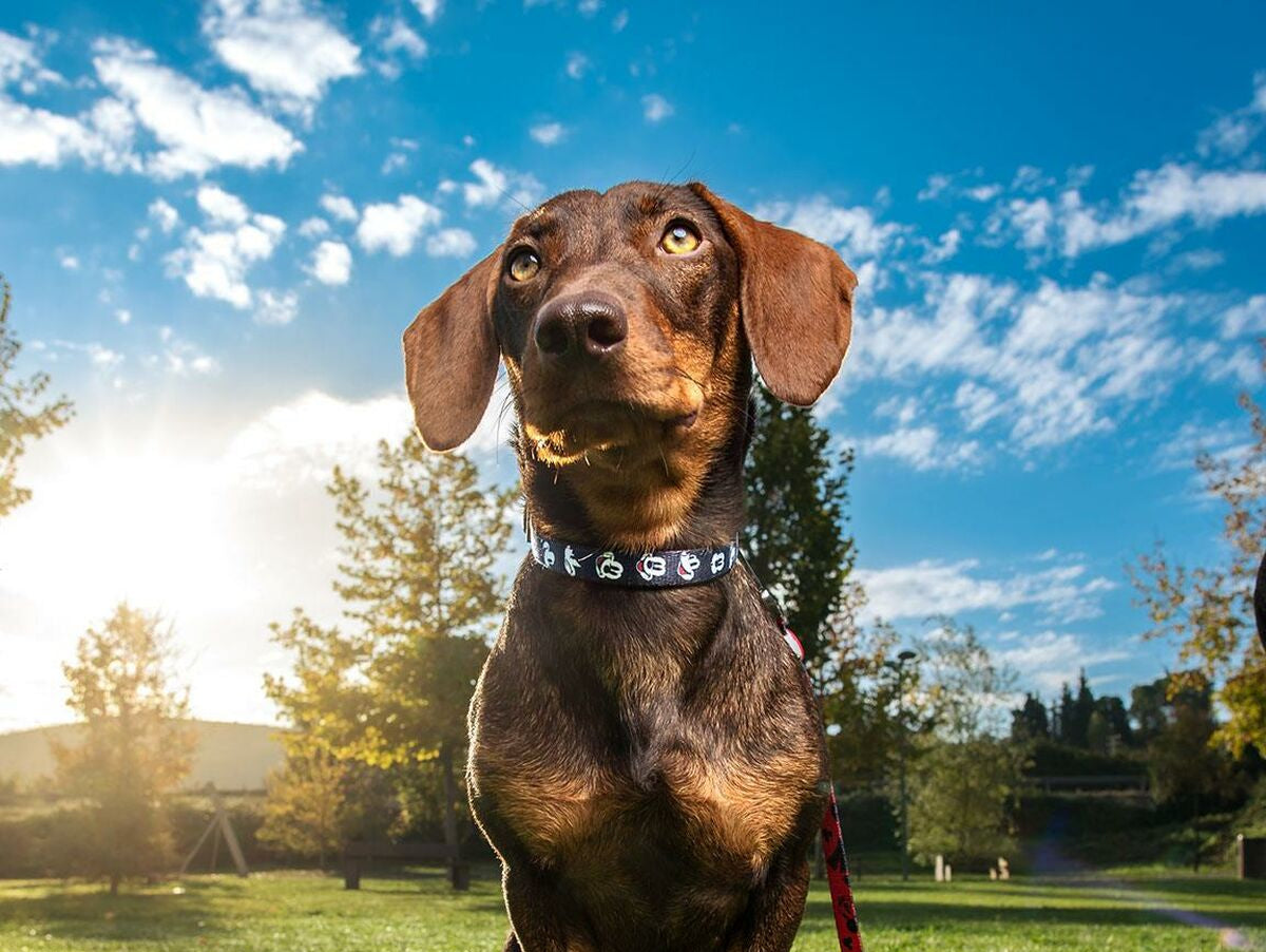 V6H44C1AE4E18139B15ED59B4B158825A36R4644495P7