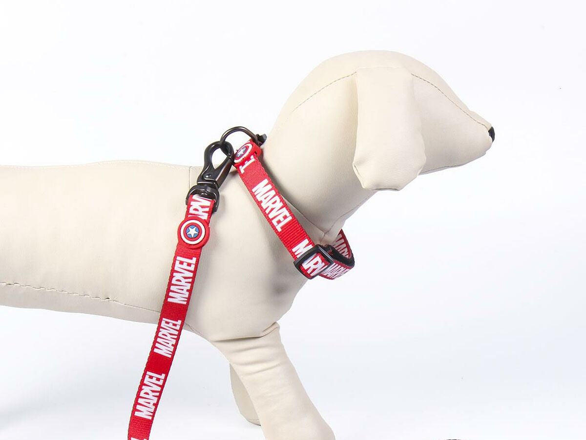 V8H5C13BF6FC20A7507476A6402DF078223R3550641P8