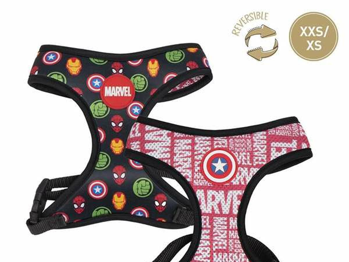 V6HE8481B0E60A6357D7D99F4D39CC7B2E1R5462669P1