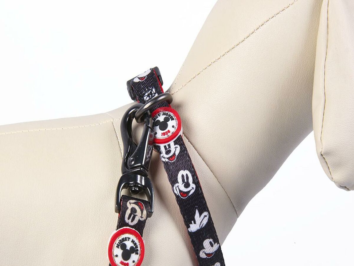 V6H3F06EDCBE5C523580C4A2641768C6603R4655490P7