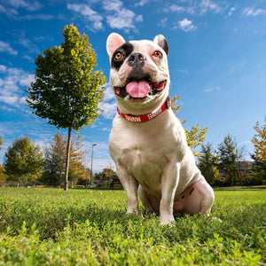 V7HDD8AB06712B10D76DF0E1E6E2012F700R3550626P7