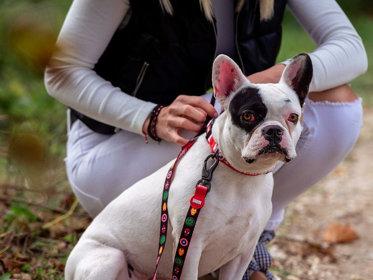 V7HA4F1C16C08A66B9ABDF090CD0FAA22A0R3551810P3