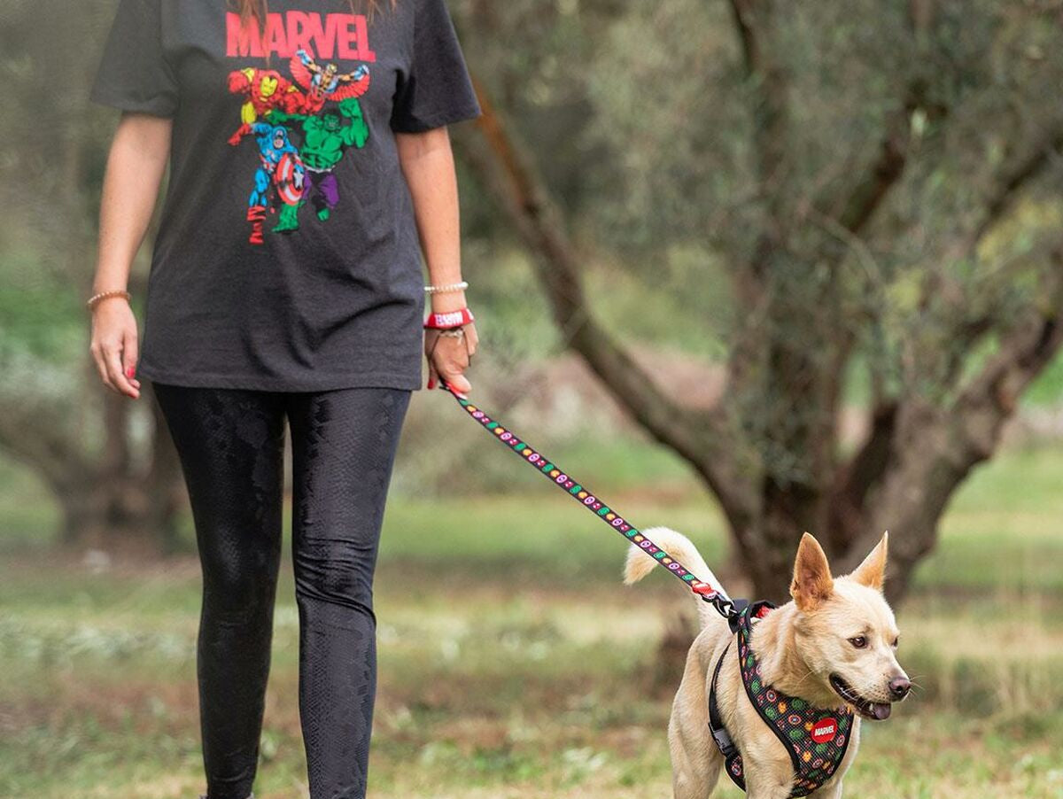 V6HB37008A26E4A7F5F517822AC562F847CR4656545P4