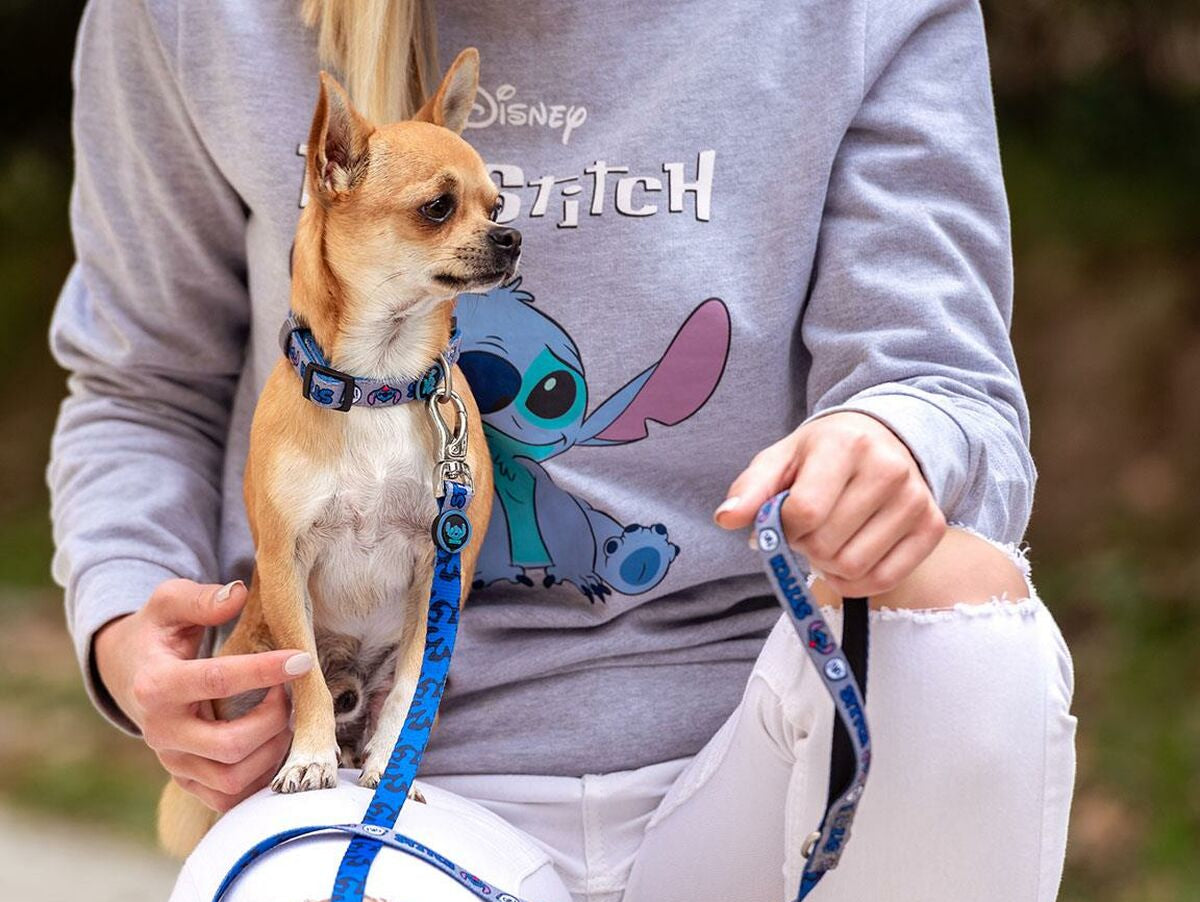 V6H079884CFF370ABC3378234068C800B03R3552284P6