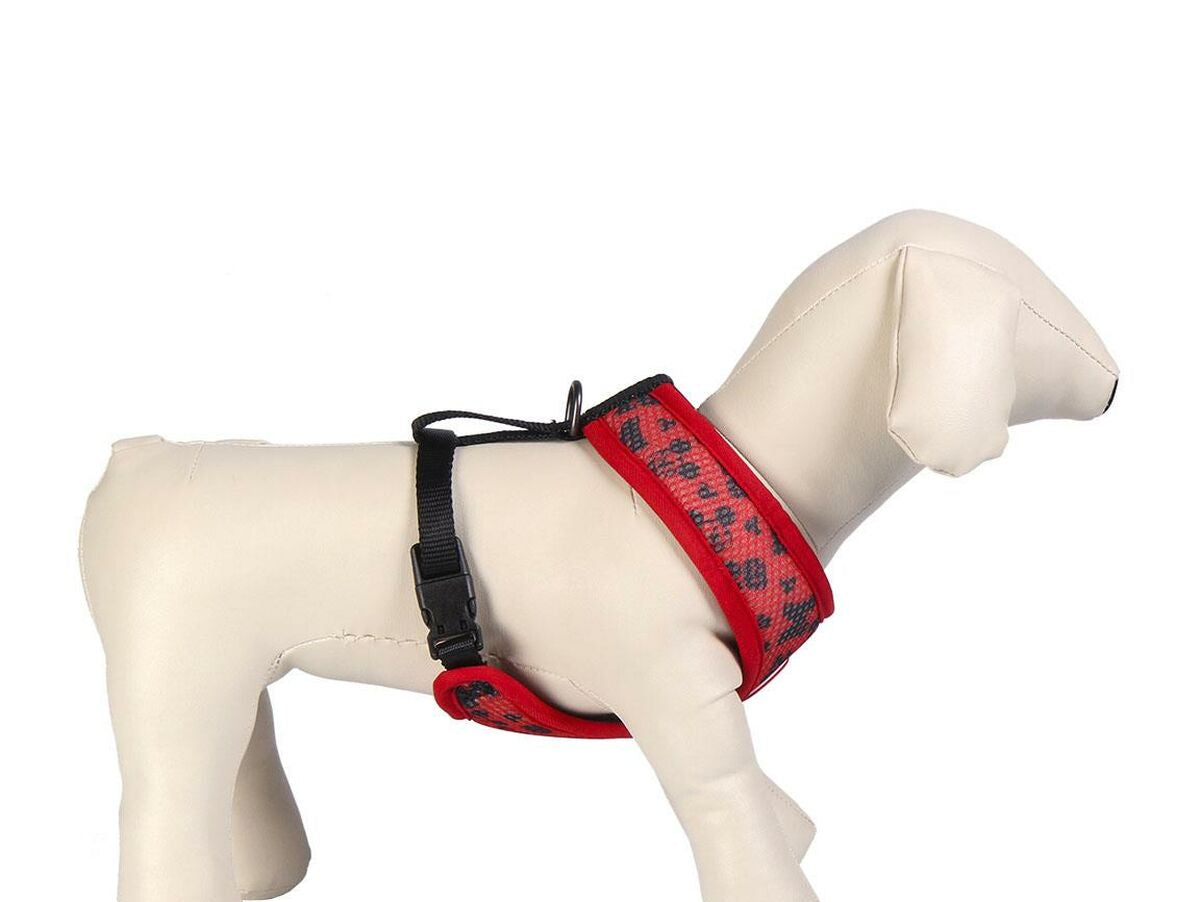 V6H92D8F4FEEC7F1444A146BF4DC79DA19FR4655031P8