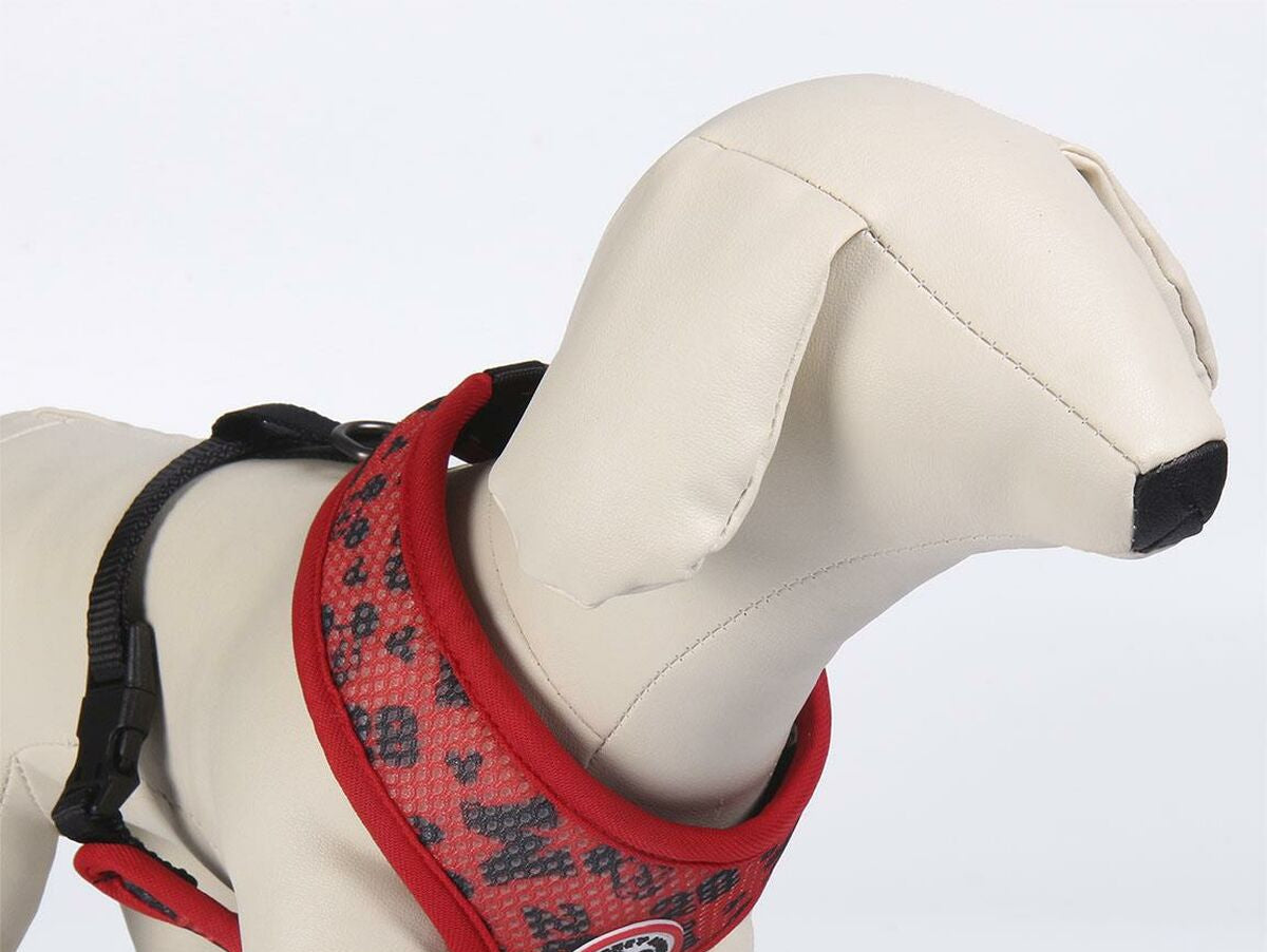 V6H4776711D29AABFE42808306717E01799R4655028P6