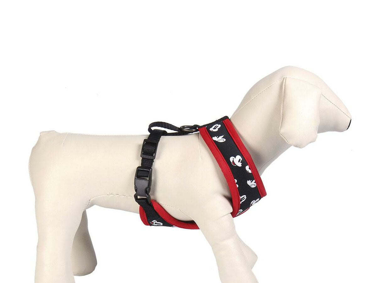 V6H066B2DA053A922358E3924D0FD36A112R4877385P1