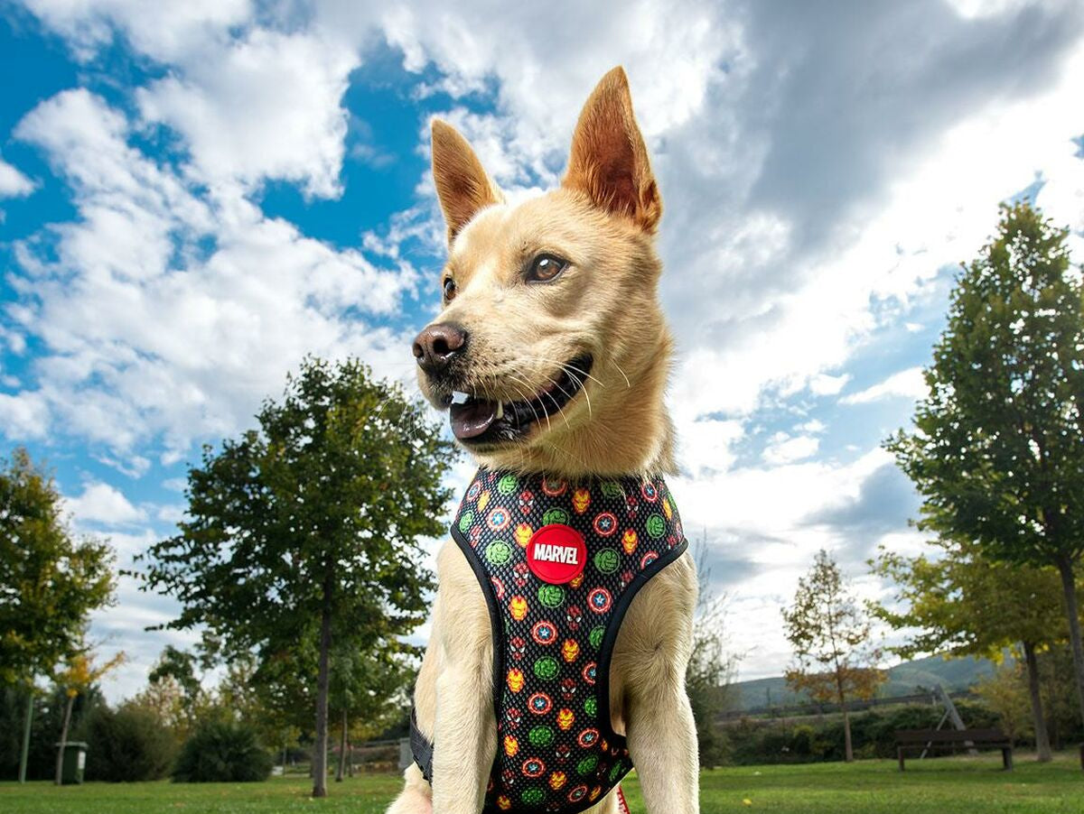 V7HC4C55F62DEE7FB2EBD6A76F8C265A2BER3551680P7