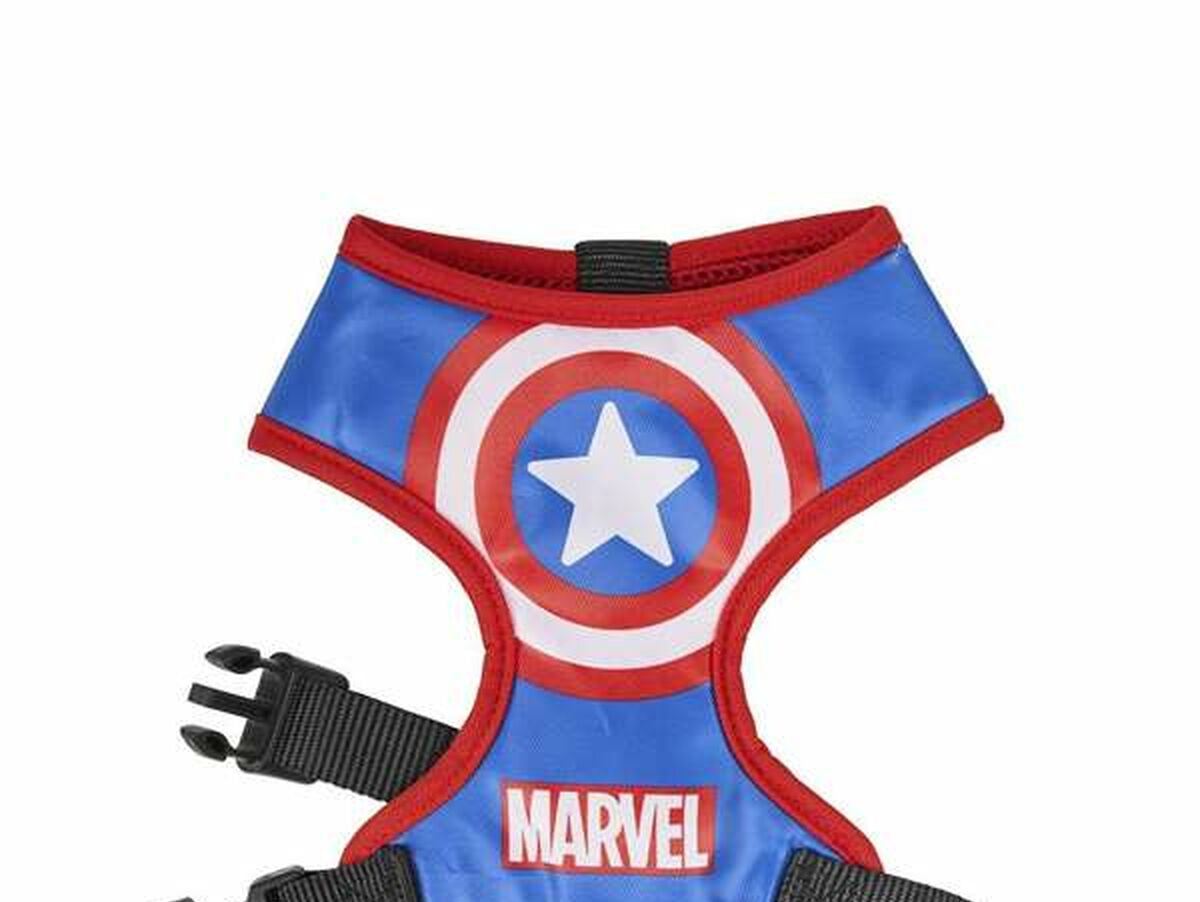 V4HDD8A746BA6675B034348A6DF4EA6FAAAR5462681P2