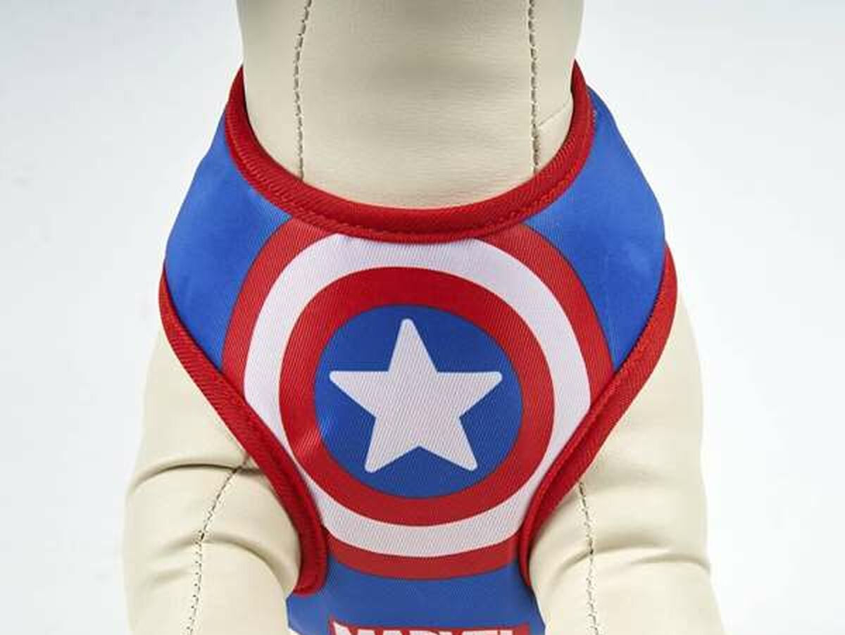 V4HC07F7A47CBDBFD510F0BF4D355E8C2EFR5462687P5