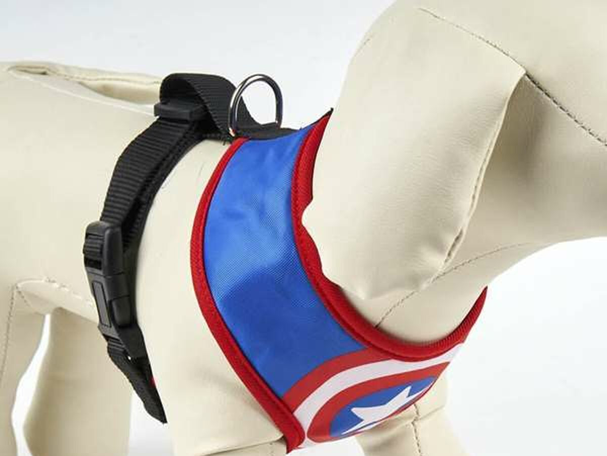 V4HB5DCC5B578470188DA7B3EB5DCA6B2D0R5462688P6