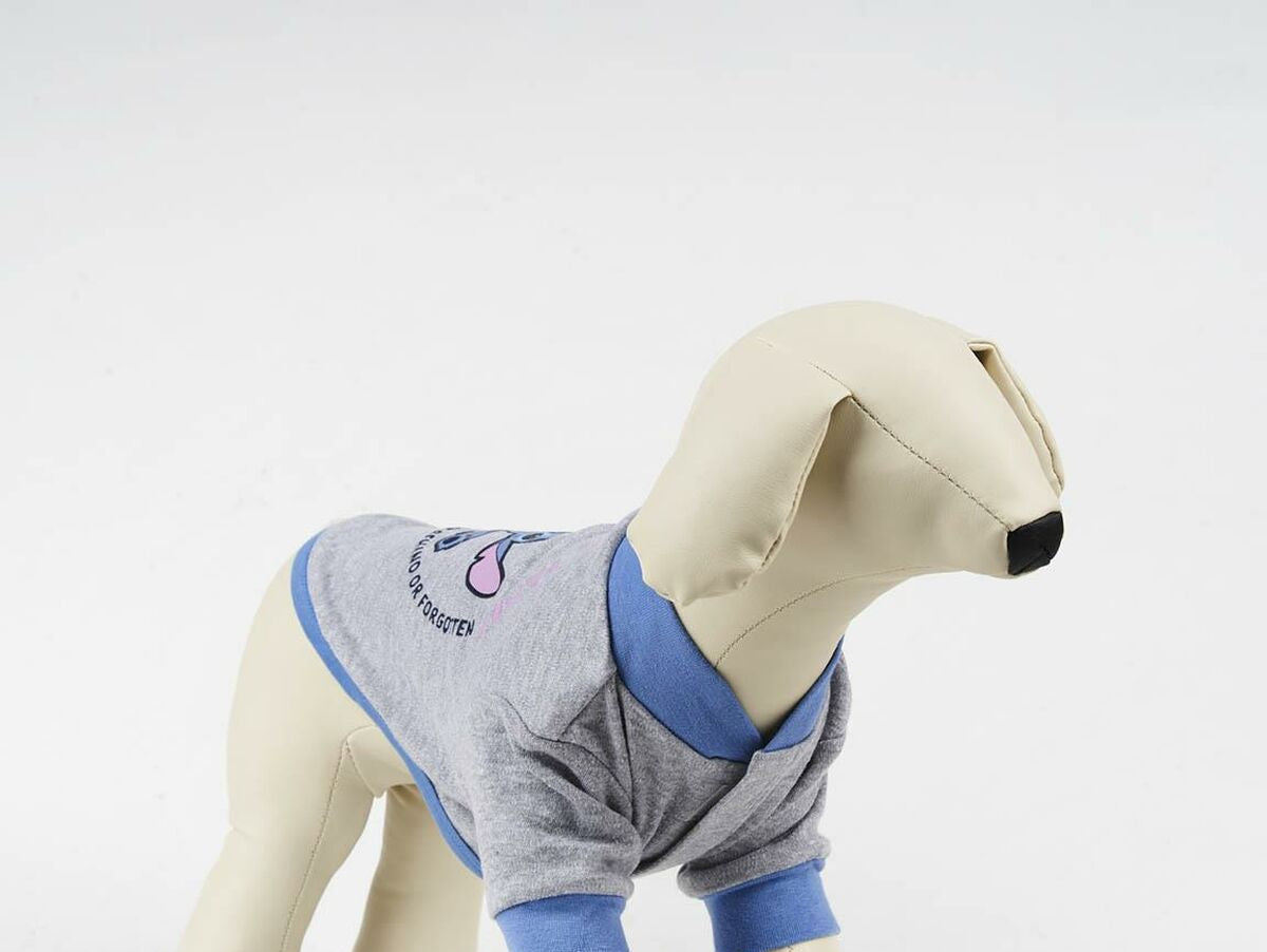 V9HB2F1E779AD8050F7D008A342558D658CR3505658P5