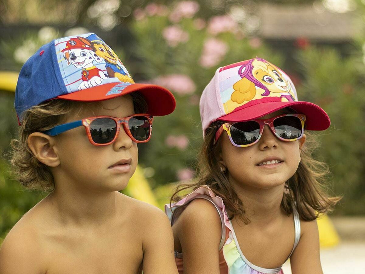 V2H717E57803E68309230863BA636DB2C47R7126831P4