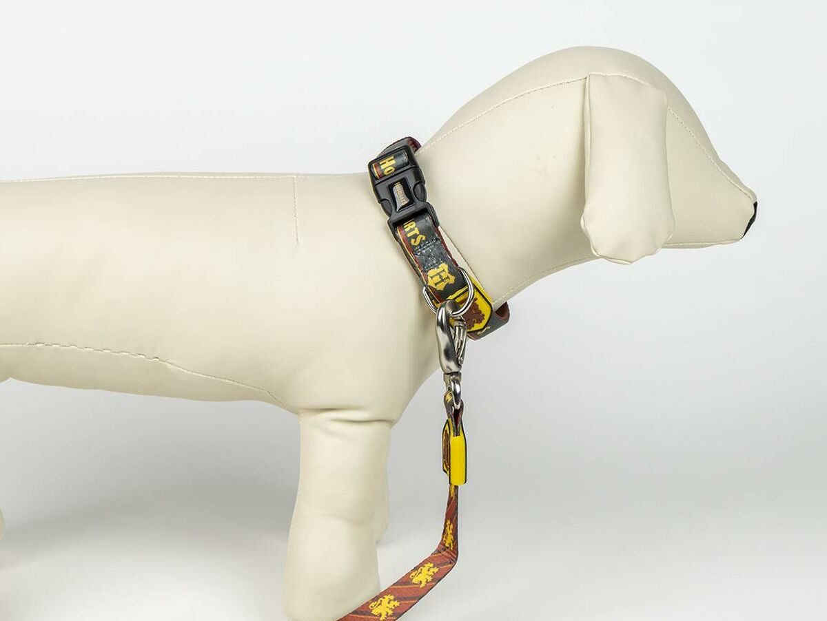 V5H22A6058362836C2A327619D8DB63DF7CR5150404P6