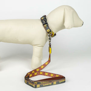 V5H22A6058362836C2A327619D8DB63DF7CR5150404P6