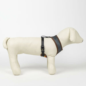 V3H47119BBC5C29E8CE3943CFF22A2282CCR5150366P6