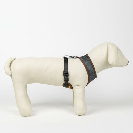 V7H2BCFF9AE58E01F7AEF1612CDE459C9C2R3551278P5