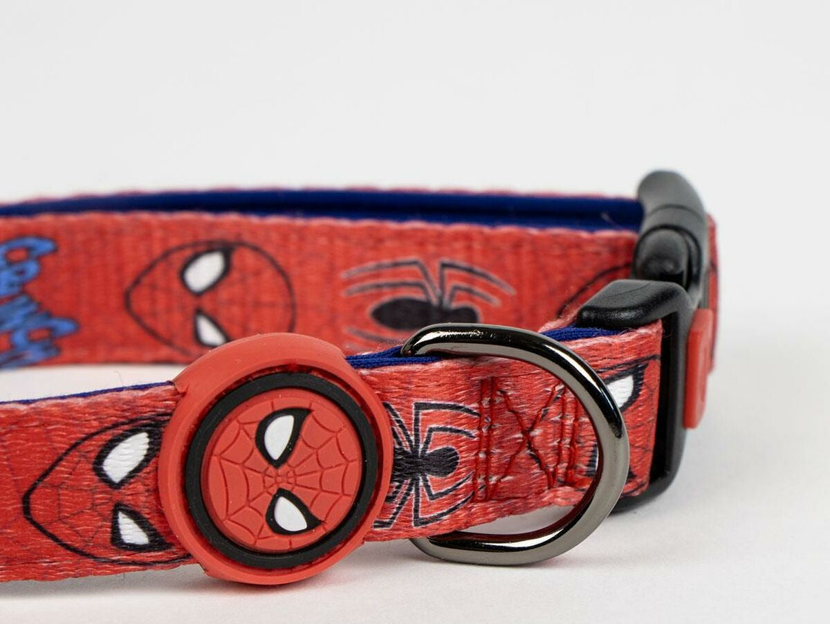 V4HD8A6079D47A166E7E2460F992C558891R6606773P2