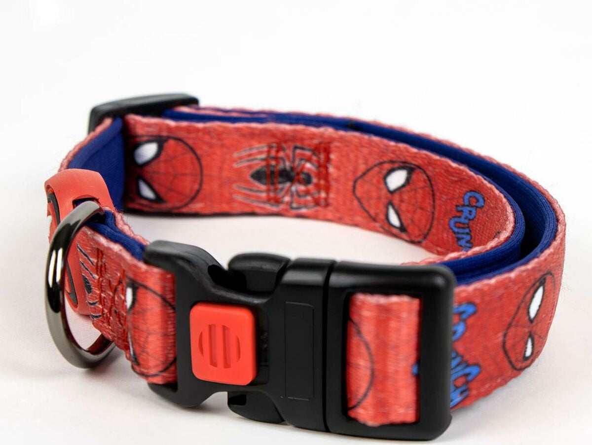 V4H0AAF42FD49A47C85DB68A737DD57C31FR6606697P5