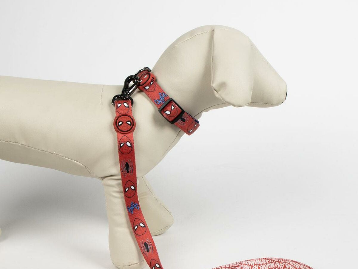 V5HFE3463B5363D698F832D5B081F21F9ABR6607501P4