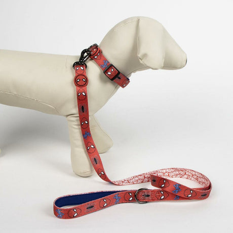 V5HFE3463B5363D698F832D5B081F21F9ABR6607501P4