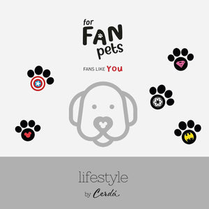 V4H6D0BC90E2C135A305B12A9DA66862206R5093440P9